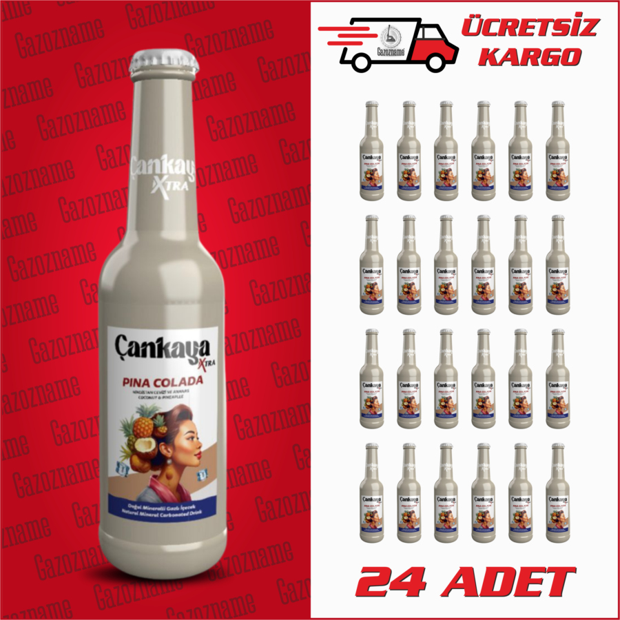 Çankaya Hindistan Ceviz & Ananas 250 ml(24 adet)