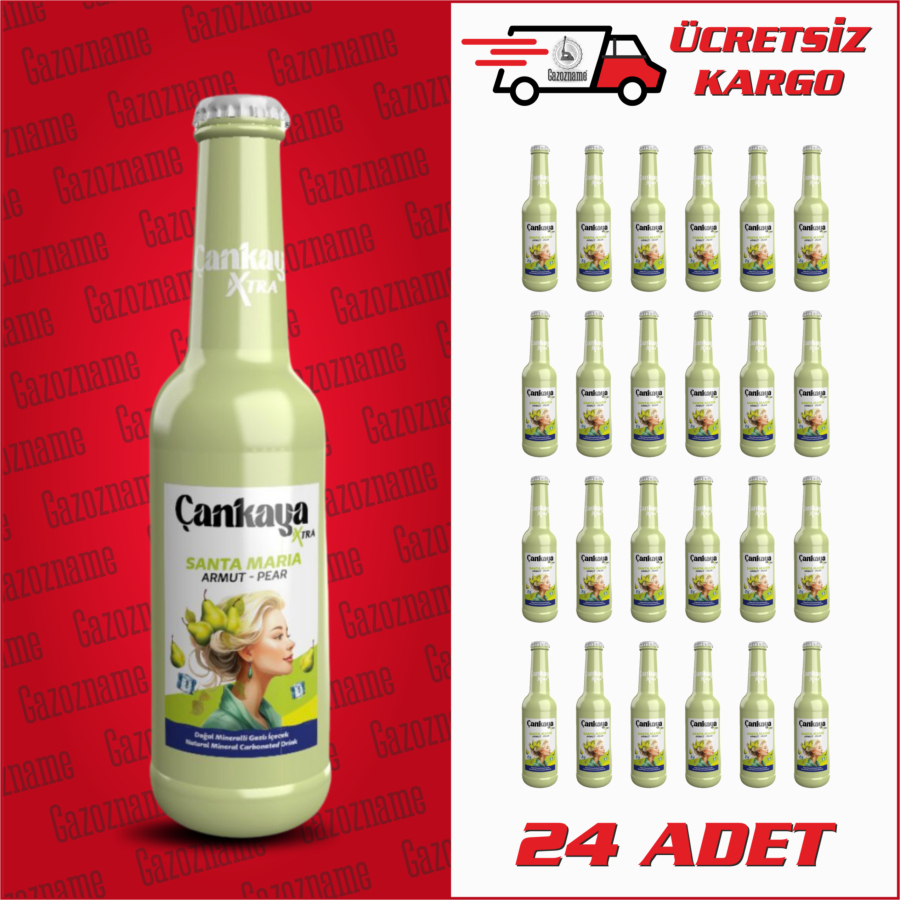 Çankaya Santa Maria 250 ml (24 adet)