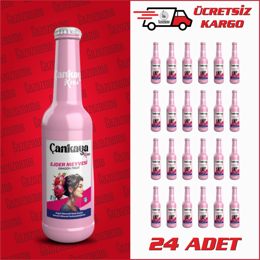 Çankaya Ejder Meyvesi 250 ml (24 adet)