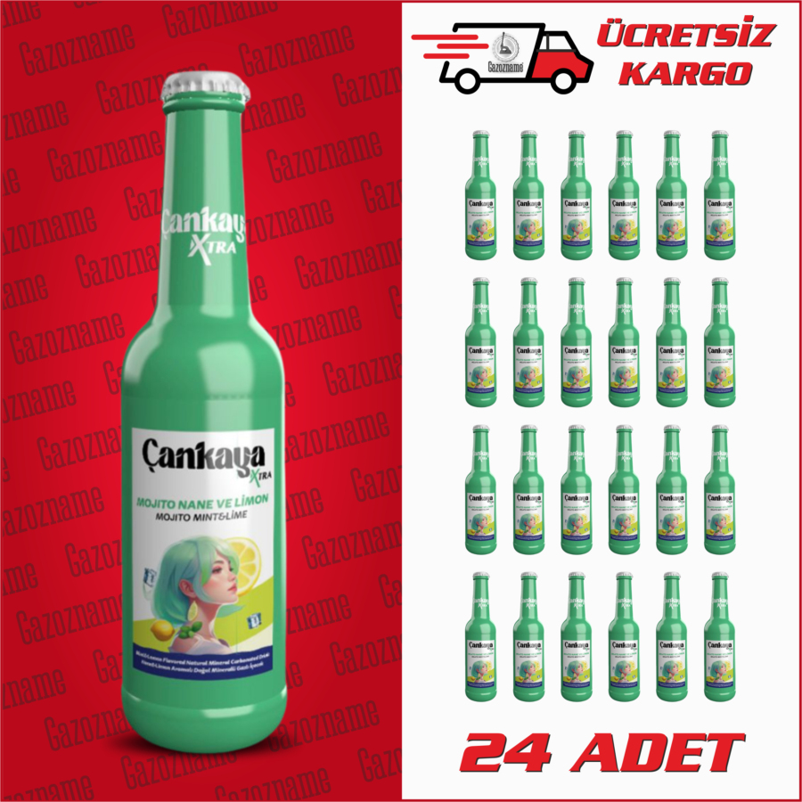 Çankaya Mojito Nane Limon 250 ml (24 adet)