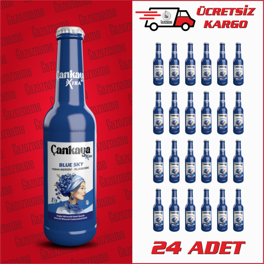 Çankaya Yaban Mersini 250 ml (24 adet)