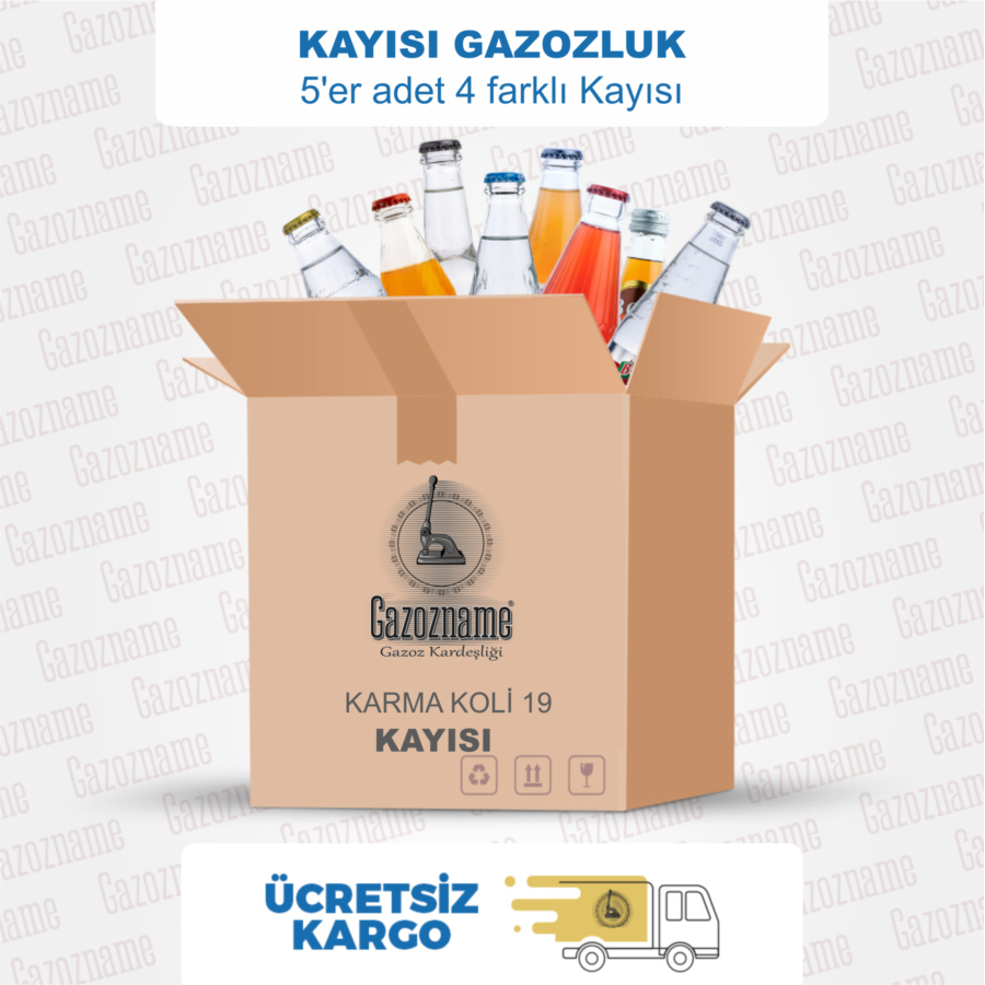 Kayısı Gazozluk 20'li Karma